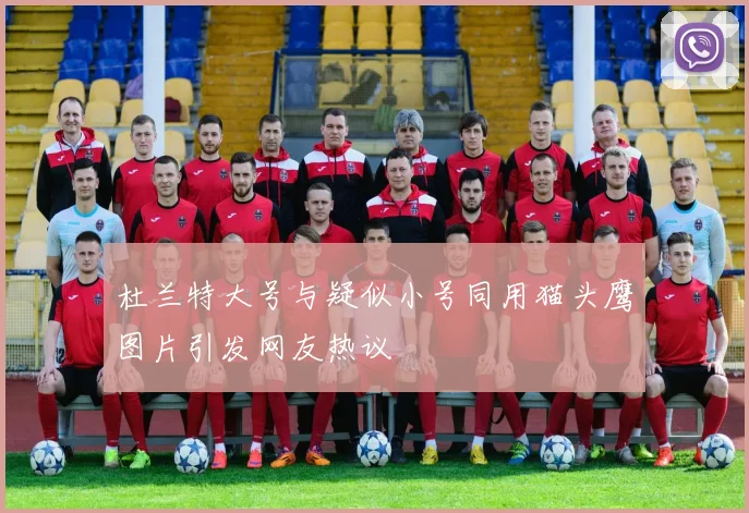 杜兰特大号与疑似小号同用猫头鹰图片引发网友热议