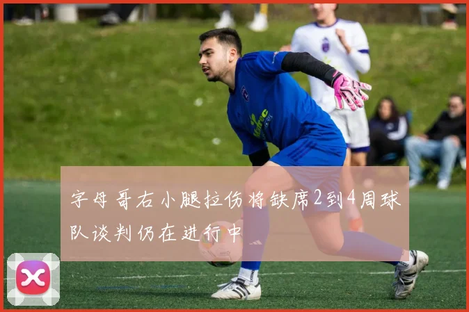 字母哥右小腿拉伤将缺席2到4周球队谈判仍在进行中