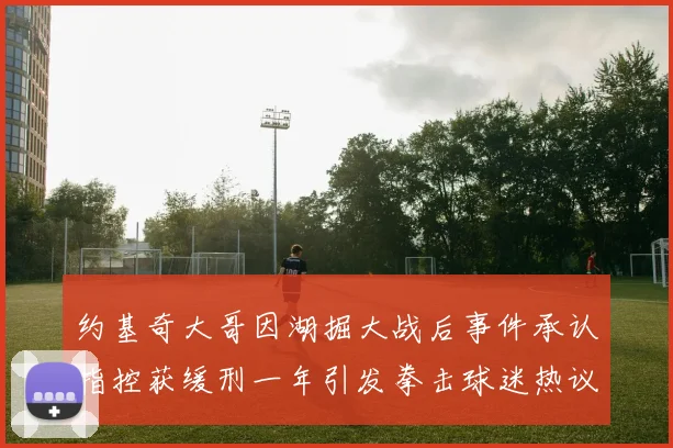 约基奇大哥因湖掘大战后事件承认指控获缓刑一年引发拳击球迷热议