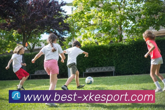 多媒体互动体验